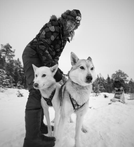 Курорт Aurora Sky Village