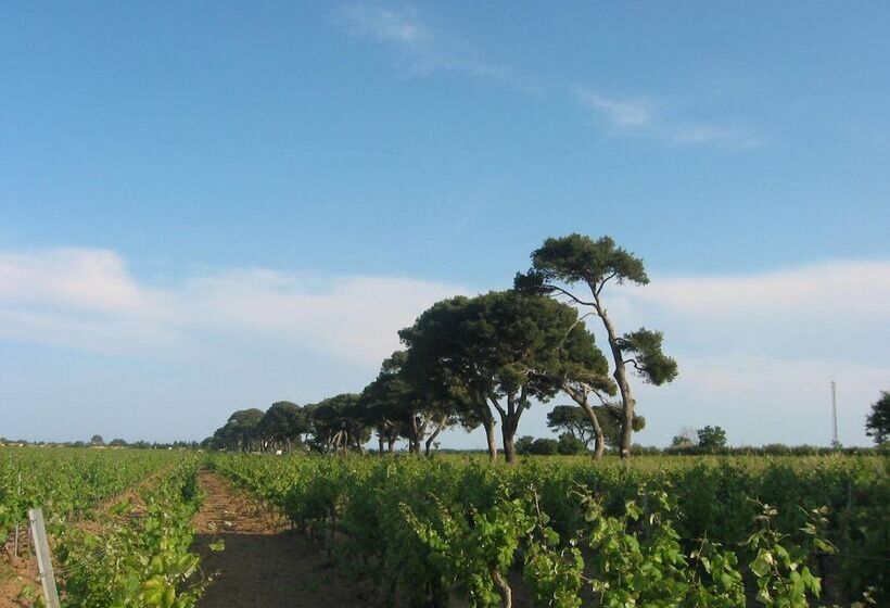 Sun Residences Horizon Bleu