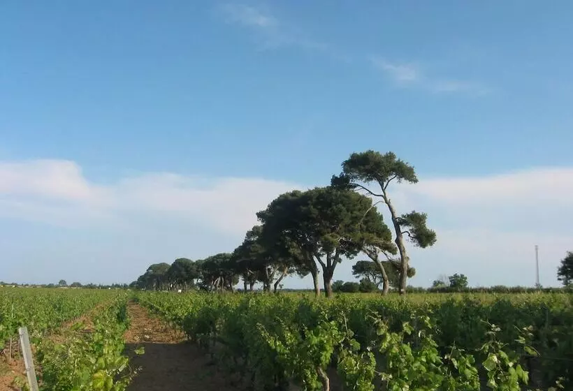 Sun Residences Horizon Bleu