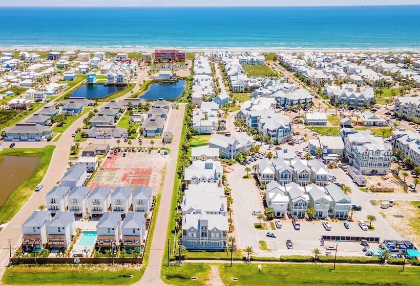 The Salty Seahorse 105 Wi