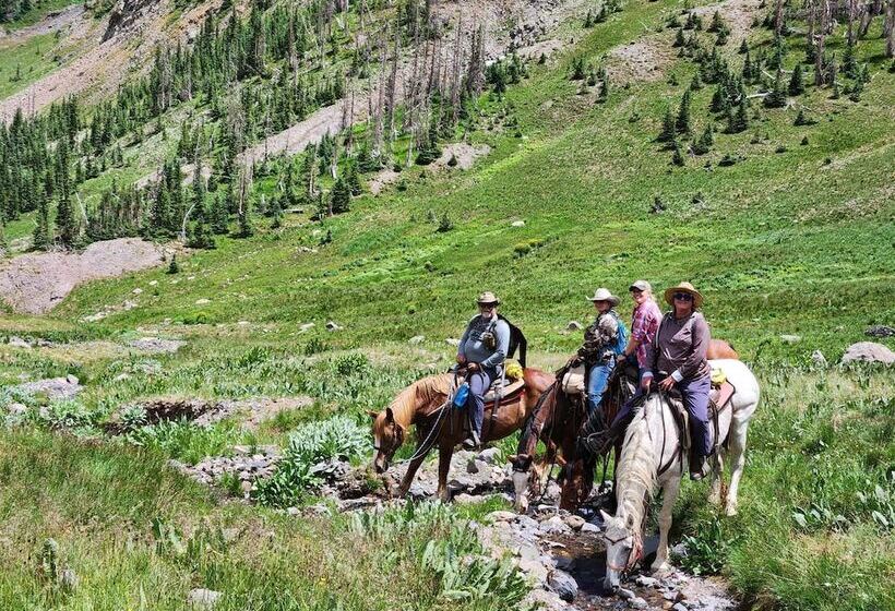 Backcountry Outfitters