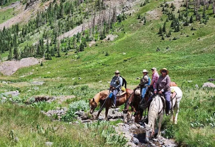 Backcountry Outfitters