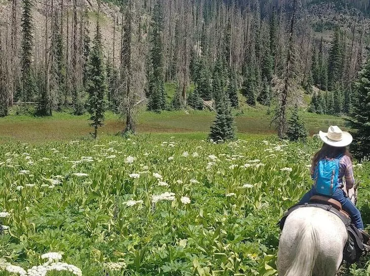 Backcountry Outfitters