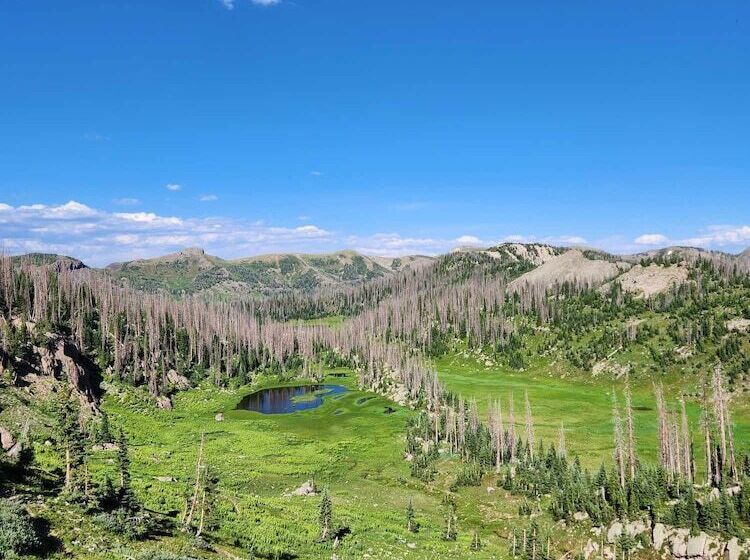 Backcountry Outfitters