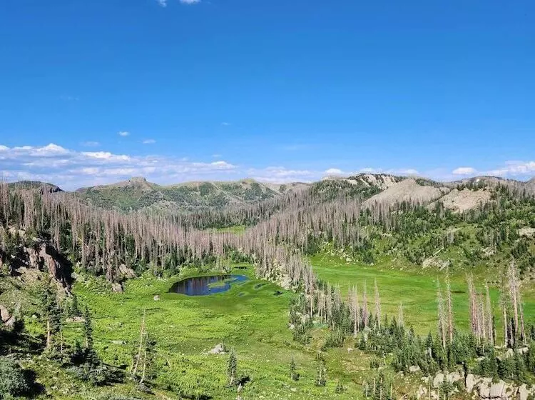 Backcountry Outfitters