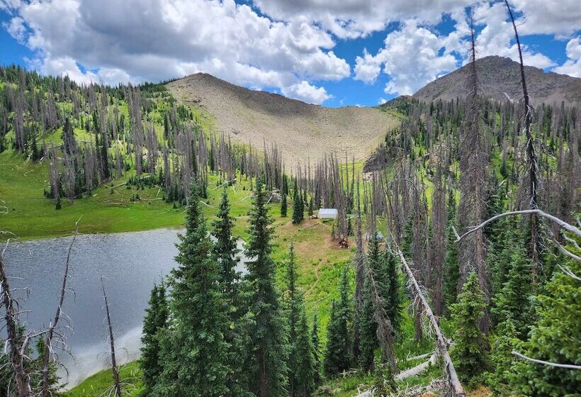 Backcountry Outfitters