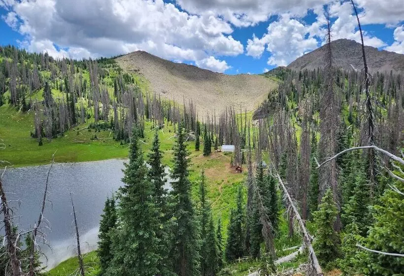 Backcountry Outfitters