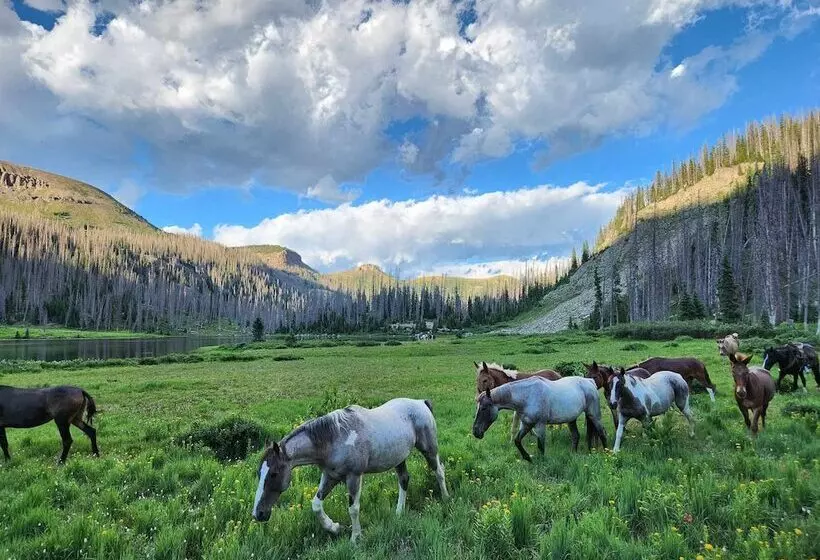 Backcountry Outfitters