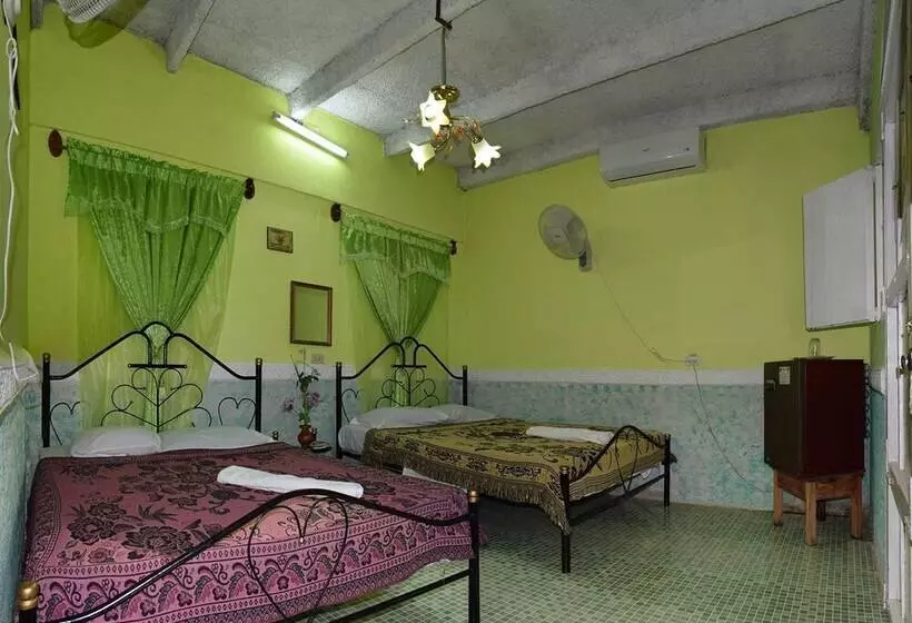 ベッドアンドブレックファースト Hostal Del Pino