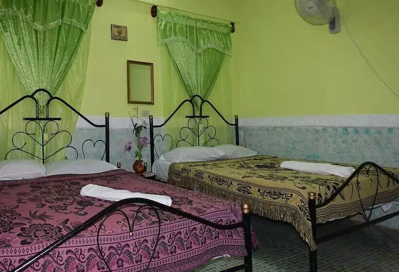 ベッドアンドブレックファースト Hostal Del Pino
