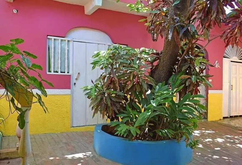 ベッドアンドブレックファースト Hostal Del Pino