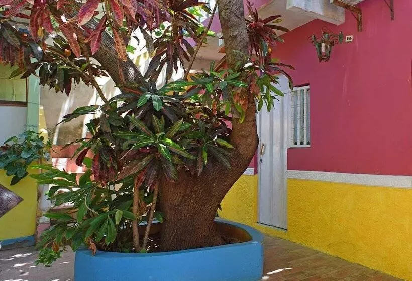 ベッドアンドブレックファースト Hostal Del Pino