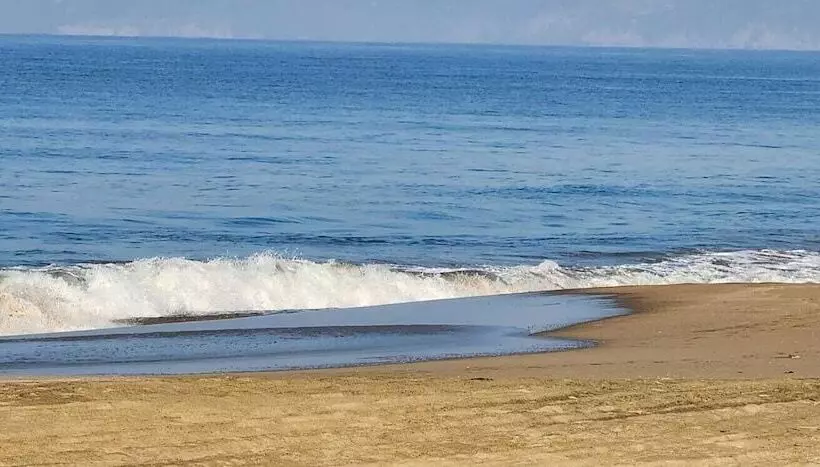 Hotelli Beach Paradise