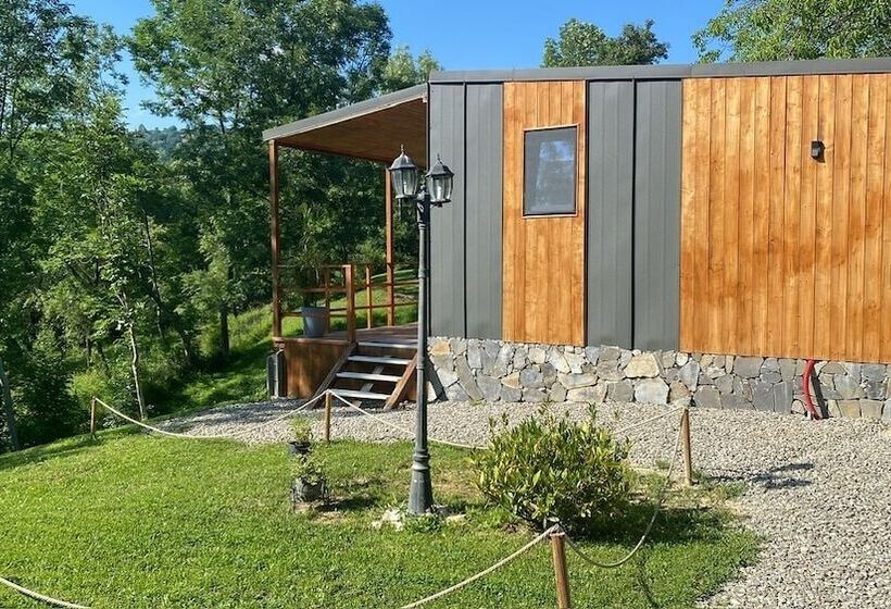 Отель Casutele Din Poienita Chalet