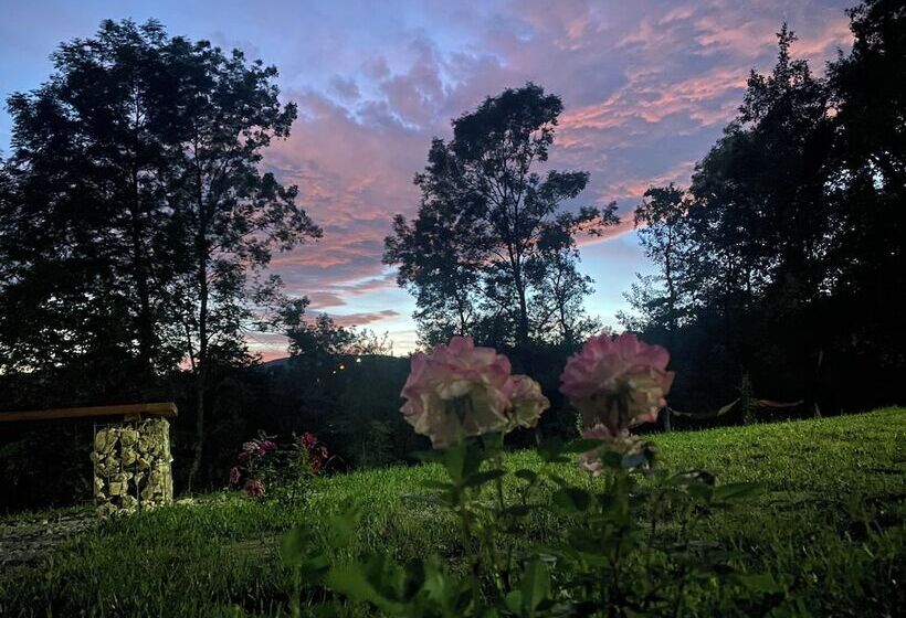 Отель Casutele Din Poienita Chalet