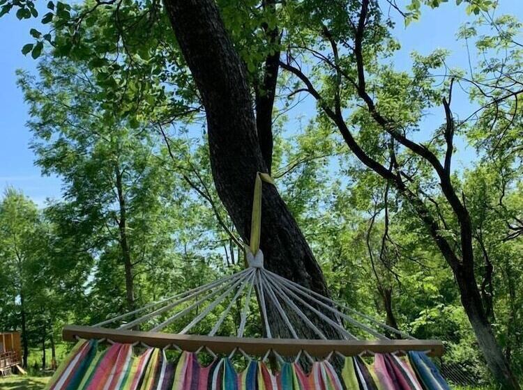 Отель Casutele Din Poienita Chalet