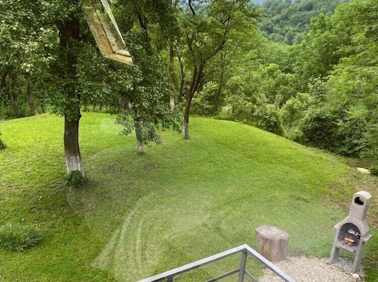 Отель Casutele Din Poienita Chalet