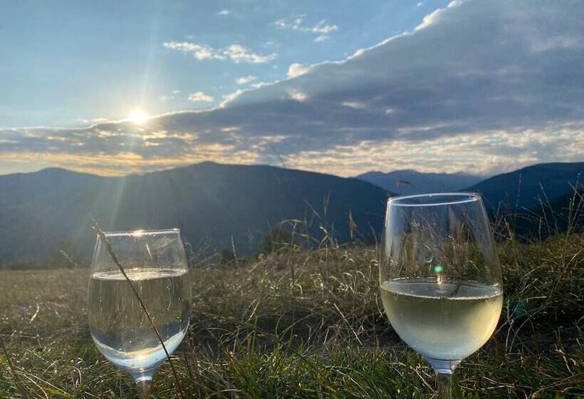 Отель Casutele Din Poienita Chalet