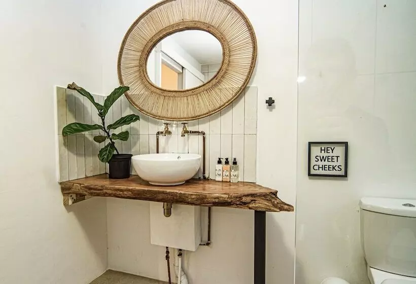 هتل Shelbourne Lodge