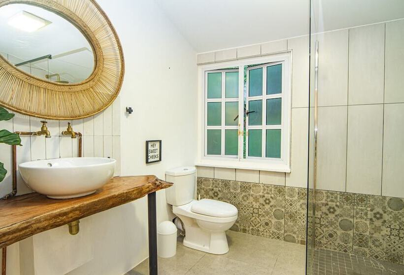 Hotel Shelbourne Lodge