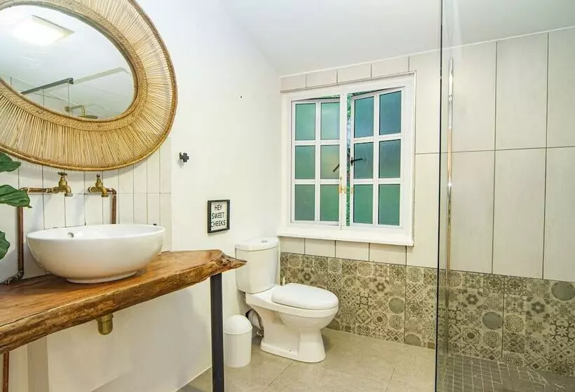 هتل Shelbourne Lodge