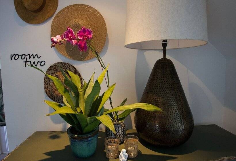 Hotel Shelbourne Lodge