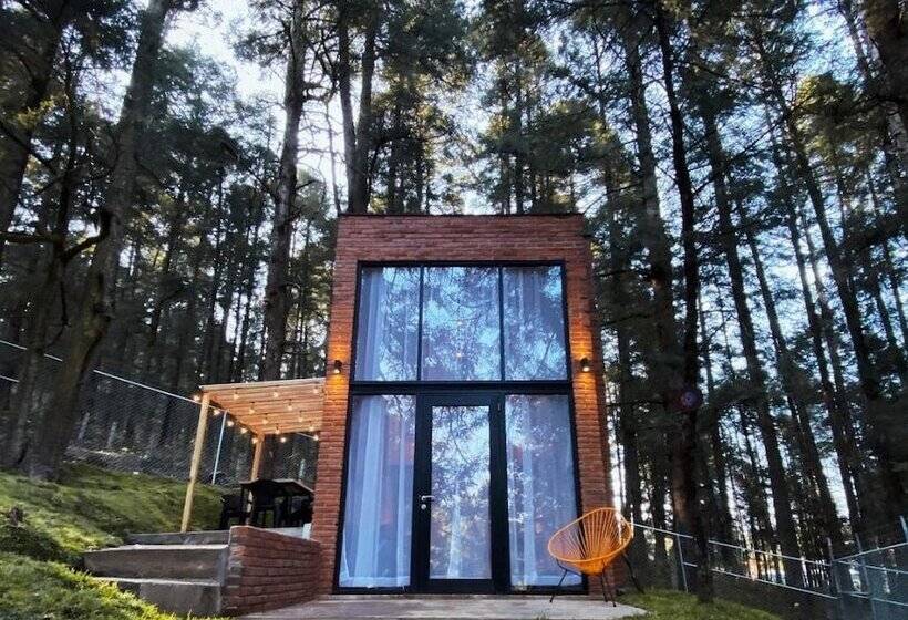ホテル Tinychillhouse