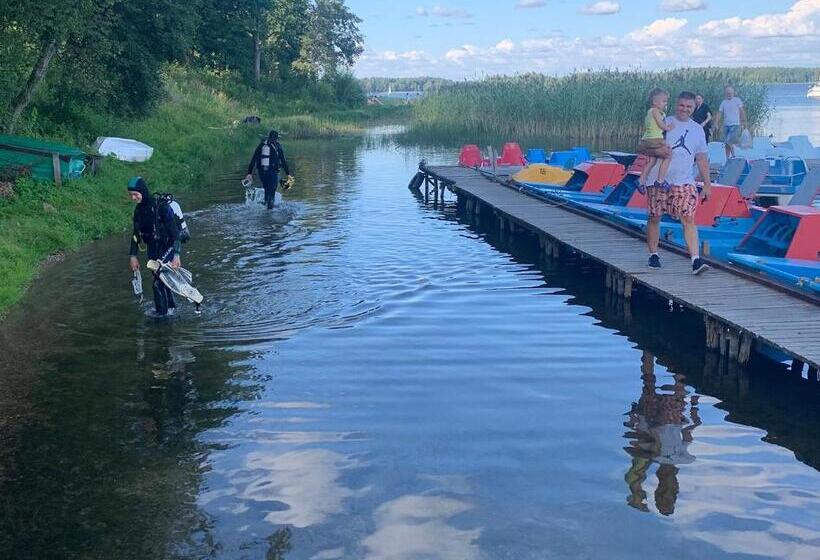 پانسیون Artless