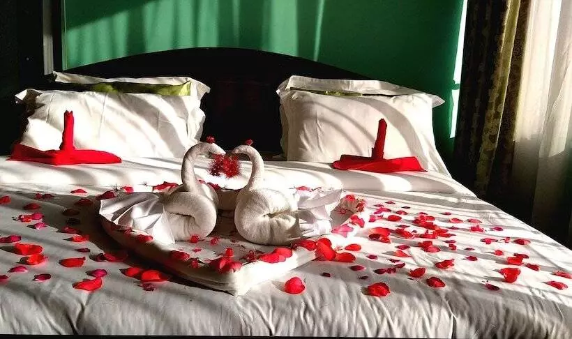 Alexander Hotel & Tours