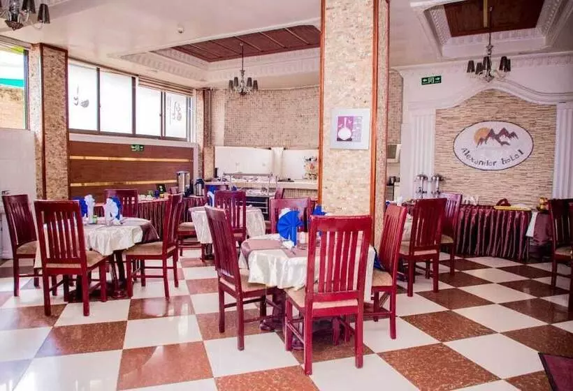 Alexander Hotel & Tours