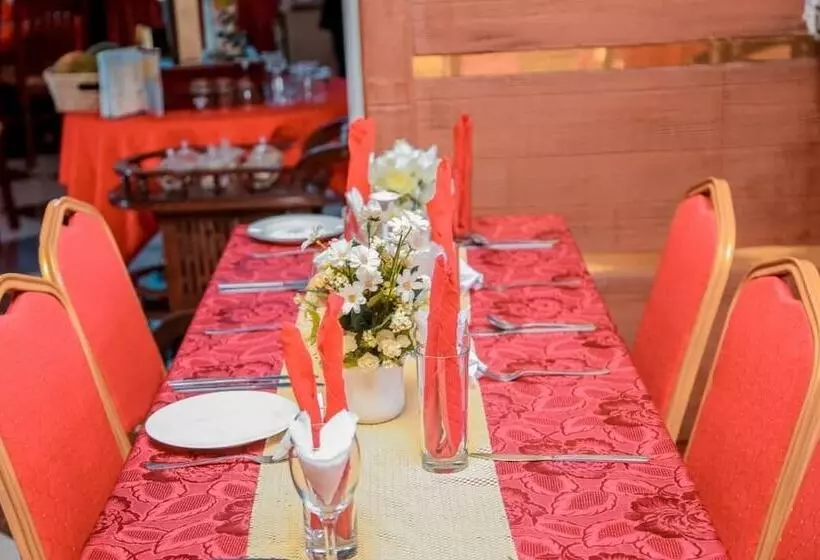 Alexander Hotel & Tours