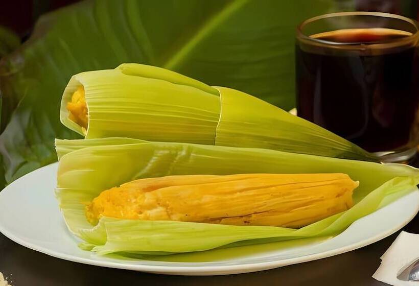 酒店 Plaza Del Valle