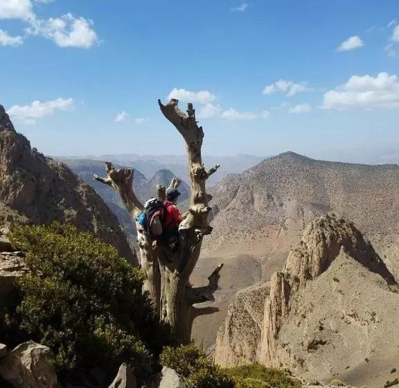 هاستل Hike And Chill Homestay