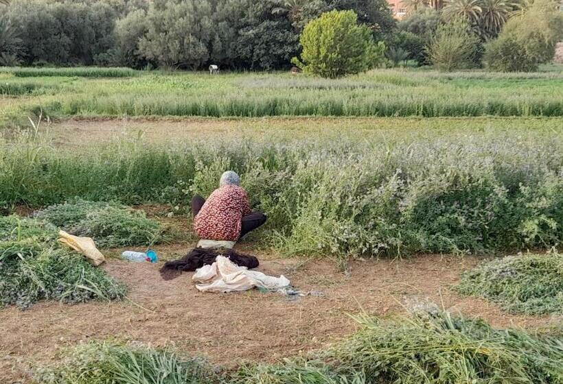 فندق صغير Hike And Chill Homestay