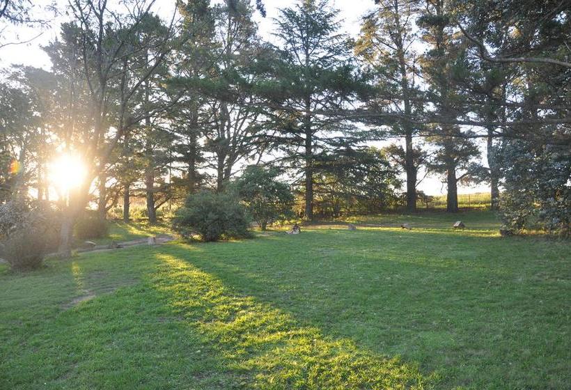 تختخواب و صبحانه Posada La Serena