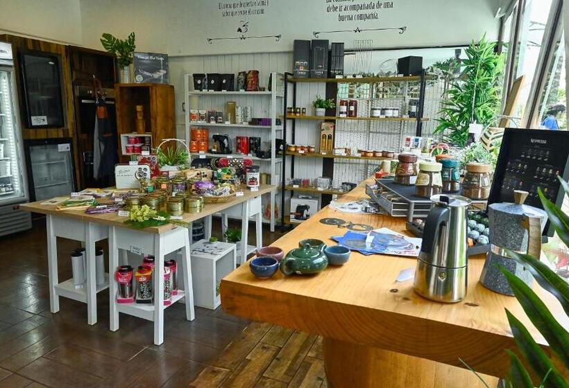 Hare Nua Hotel Boutique