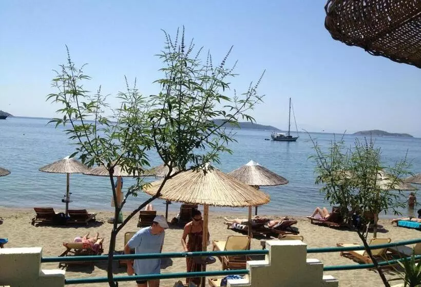 Hotelli Angeliki Beach