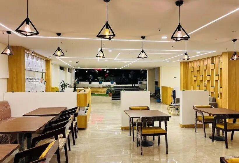 ホテル Plaza Airport Zone