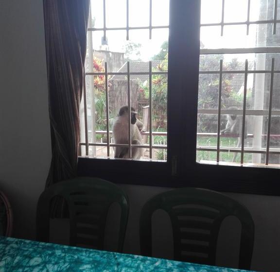 هاستل Sunbird Backpackers