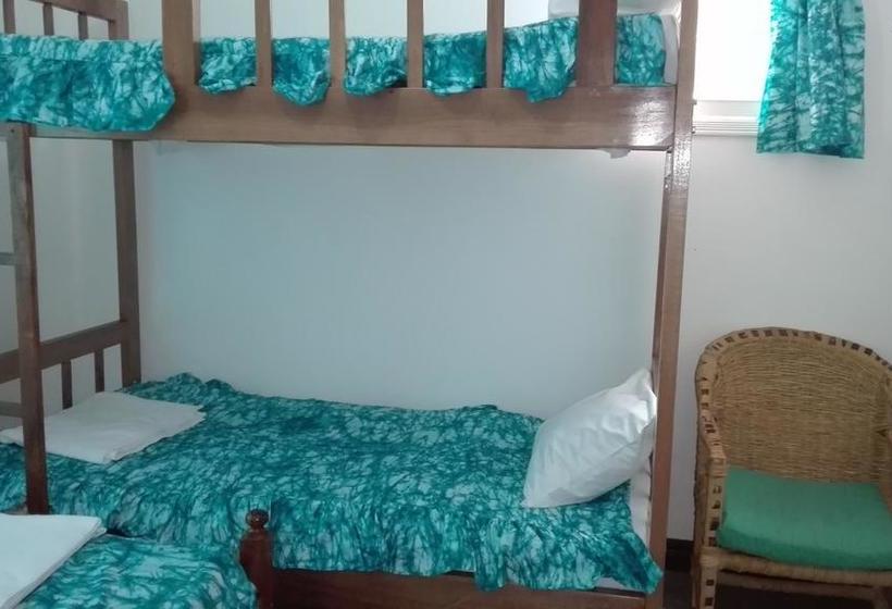 هاستل Sunbird Backpackers