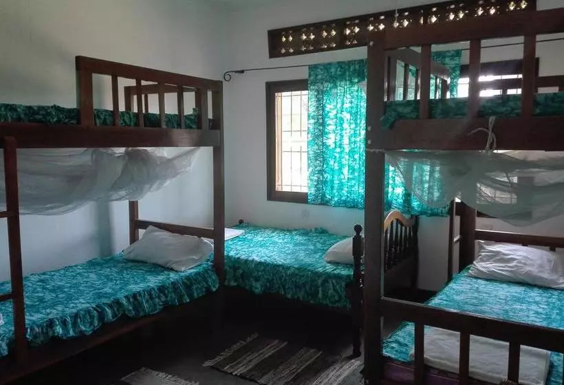هاستل Sunbird Backpackers