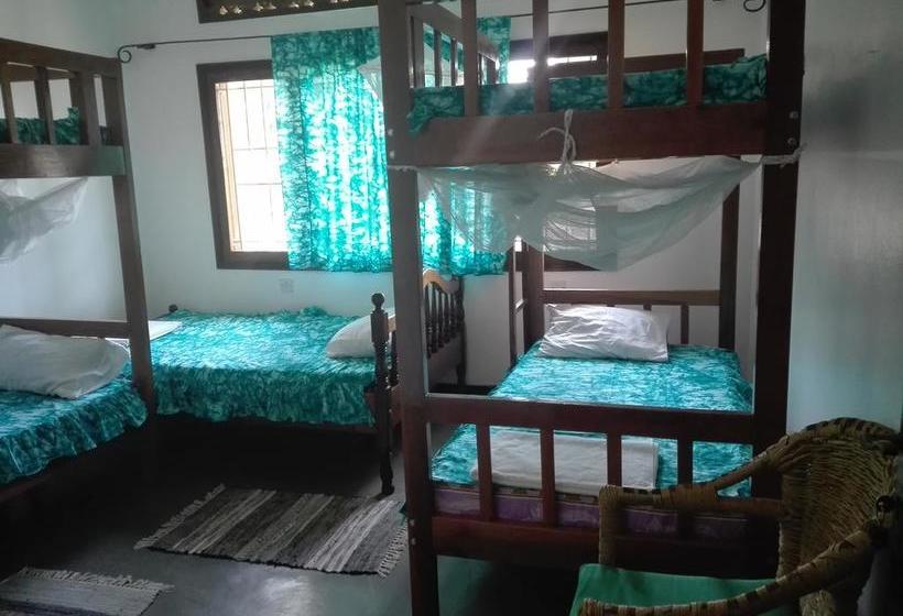 هاستل Sunbird Backpackers