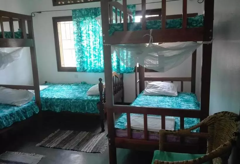 هاستل Sunbird Backpackers