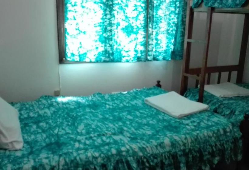 هاستل Sunbird Backpackers