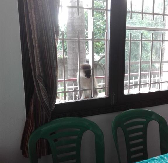 هاستل Sunbird Backpackers