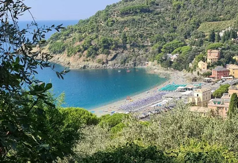 تختخواب و صبحانه Affittacamere Da Luca