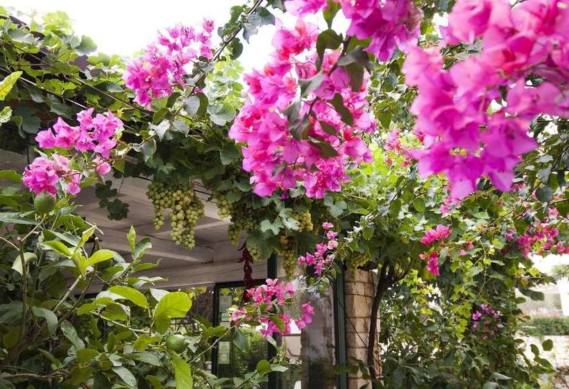 צימר Casa Soleluna