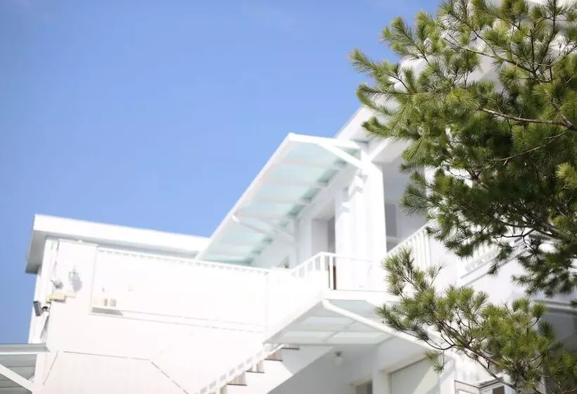 تختخواب و صبحانه Cloud & Green Private Guest House