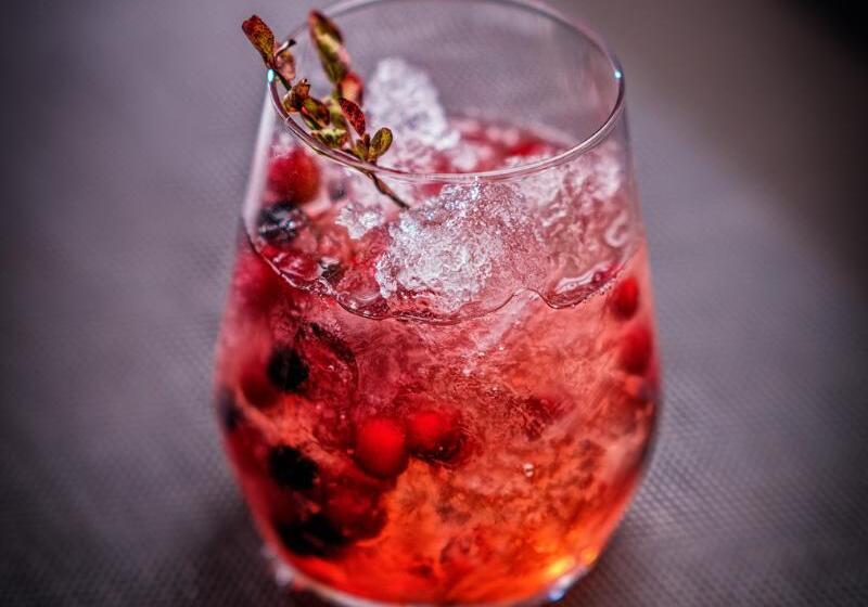 בית מלון כפרי Star Arctic