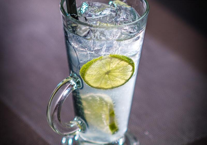 בית מלון כפרי Star Arctic